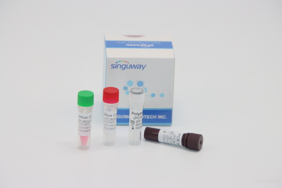 HPV Toxのウイルスのための量的な分子診断RT PCRテスト キットのリアルタイム