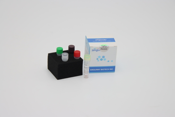 HBV HCV実時間PCRの検出のキットPCRの拡大のキット20uLの反作用の容積