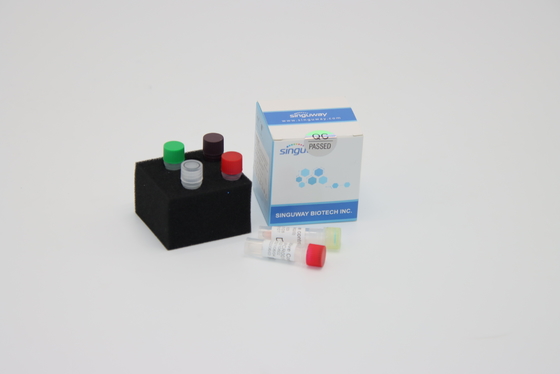 PCRに必要な超高速の狂犬病ウイルスDNA PCRの検出のキットの試薬