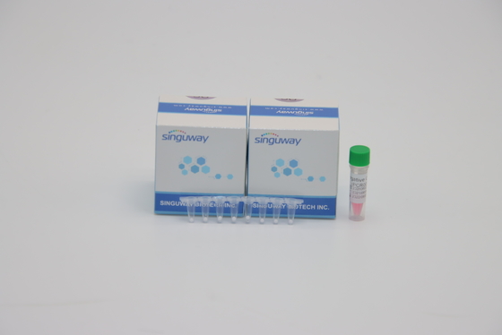 ISO9001をテストする実験室POCT IVDの結核菌TB PCRの検出のキットDNA