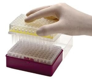 実験室消費可能なPCRのピペットは使い捨て可能なMicropipetteの先端10-1250μLをひっくり返す
