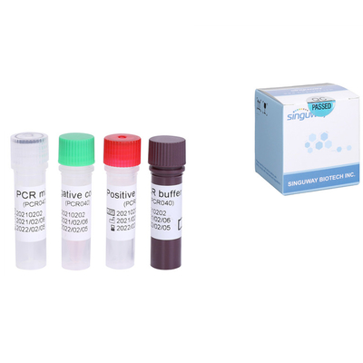 肝炎のウイルスのRNA HCV急速なテスト キット量的なHCV RT PCRのキット