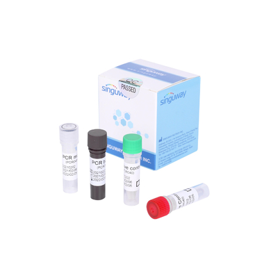 肝炎のウイルスのRNA HCV PCRのための量的な診断キットRT PCRテスト キット