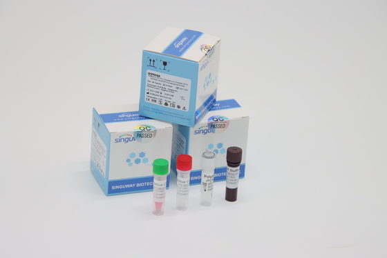 RT PCR Covidテスト キット臨床LPのウイルスPCR媒体の二重綿棒のサンプル キットを使用して実験室