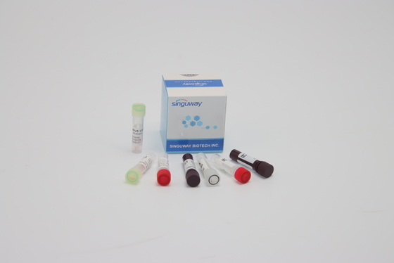 臨床診断のためのORF1ab HPV PCRの検出のキットの核酸の遺伝子検査