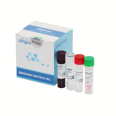 HIVウイルスのための量的な診断HIV実時間PCRのキット40uL