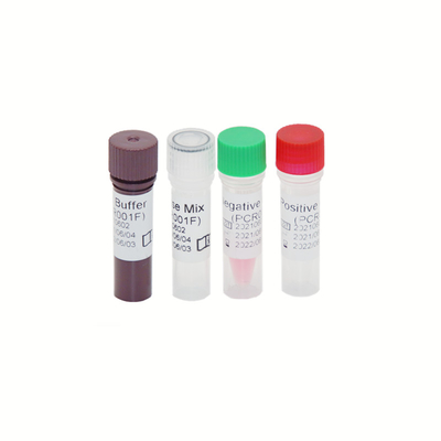 HBV HCV HIV-1のゲノムRT PCRテスト キットの高い感受性30 IU/ML